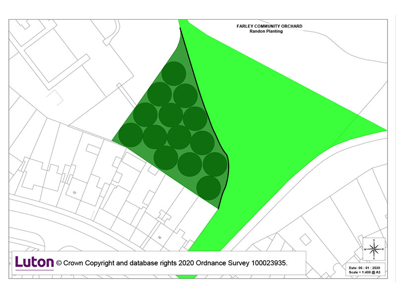community-orchard-planting-14-trees-main